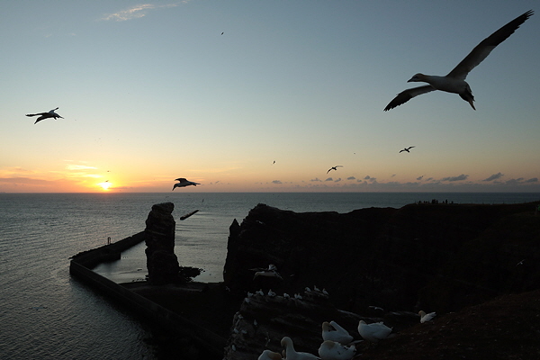 Helgoland-Bild-Nr.36