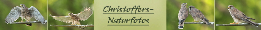 christoffers-naturfotosTurm